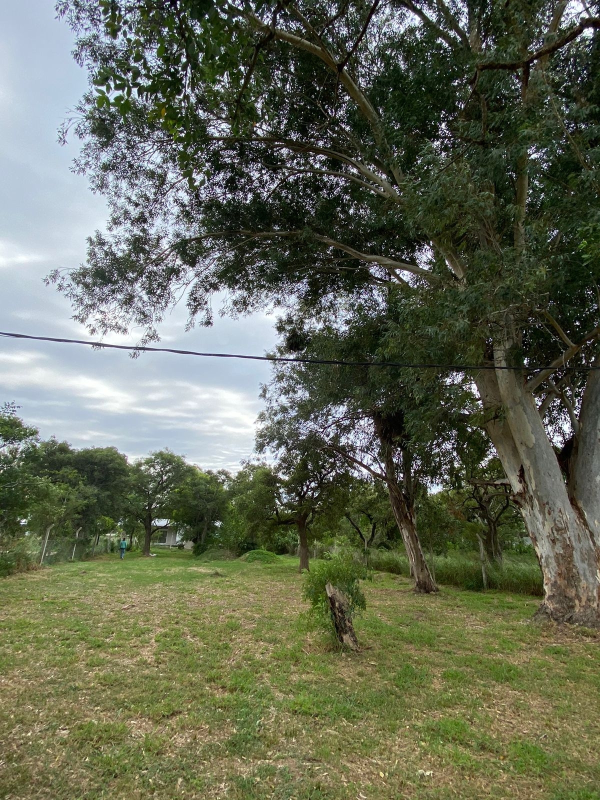 Calle 2 S/N Arroyo Leyes, Km 10